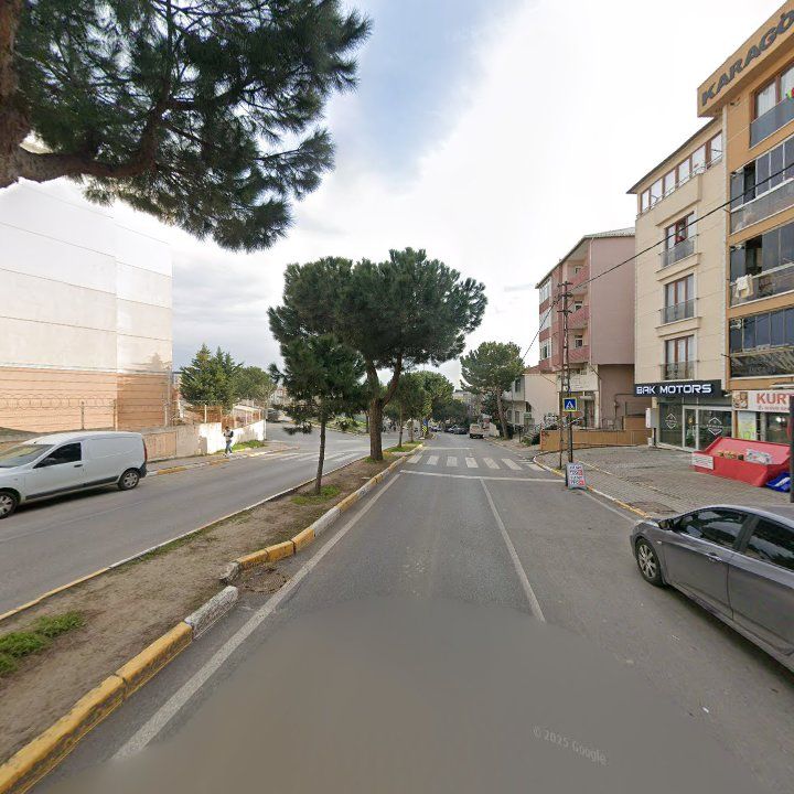 Fotoğraf 11