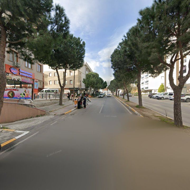 Fotoğraf 9