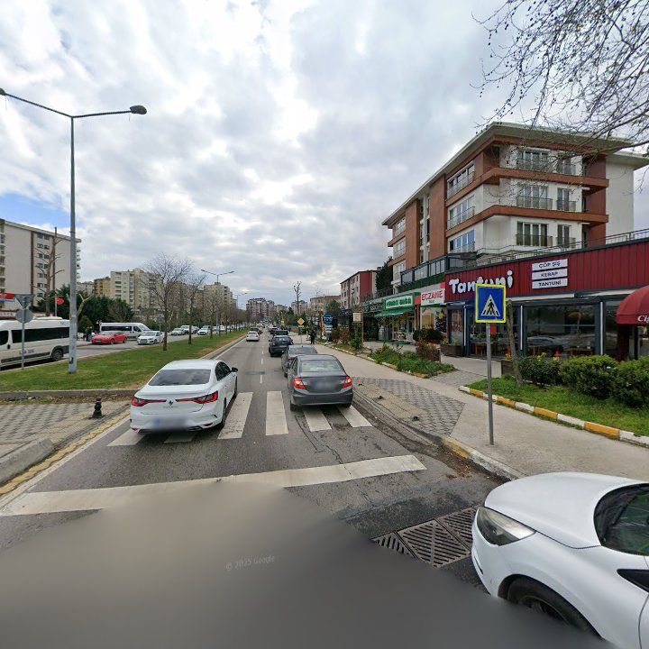 Fotoğraf 8