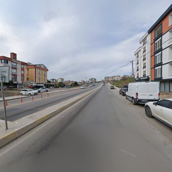 Fotoğraf 10