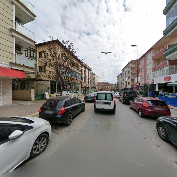 Fotoğraf 11