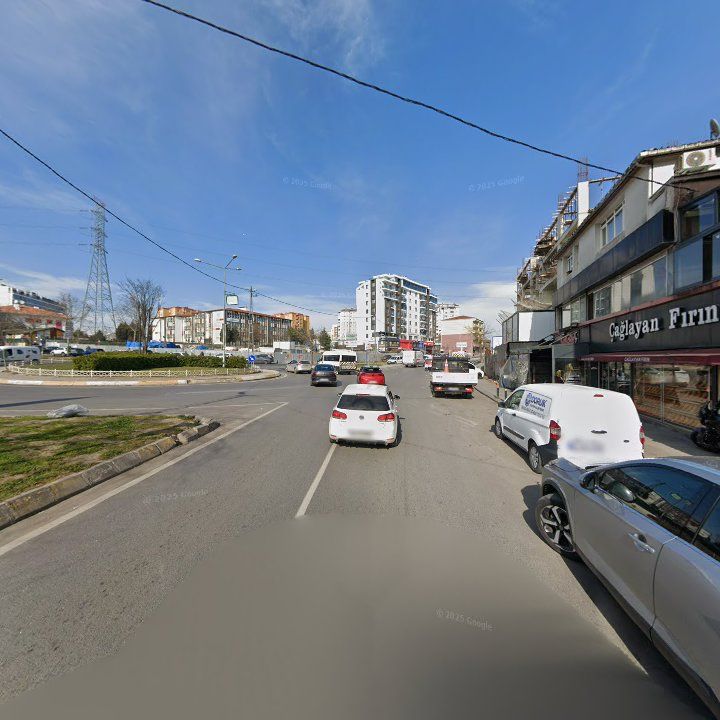 Fotoğraf 10