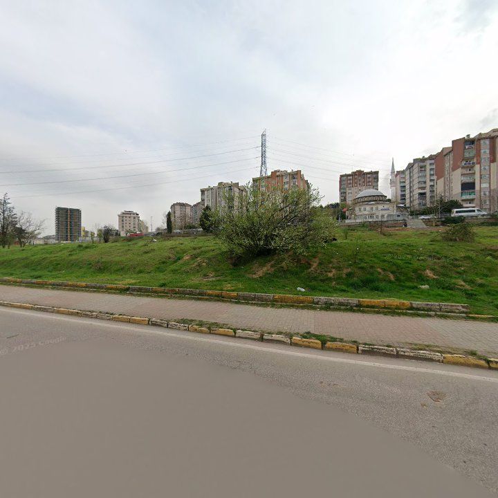 Fotoğraf 7