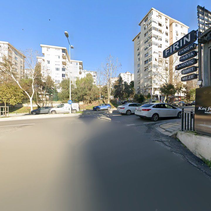 Fotoğraf 12