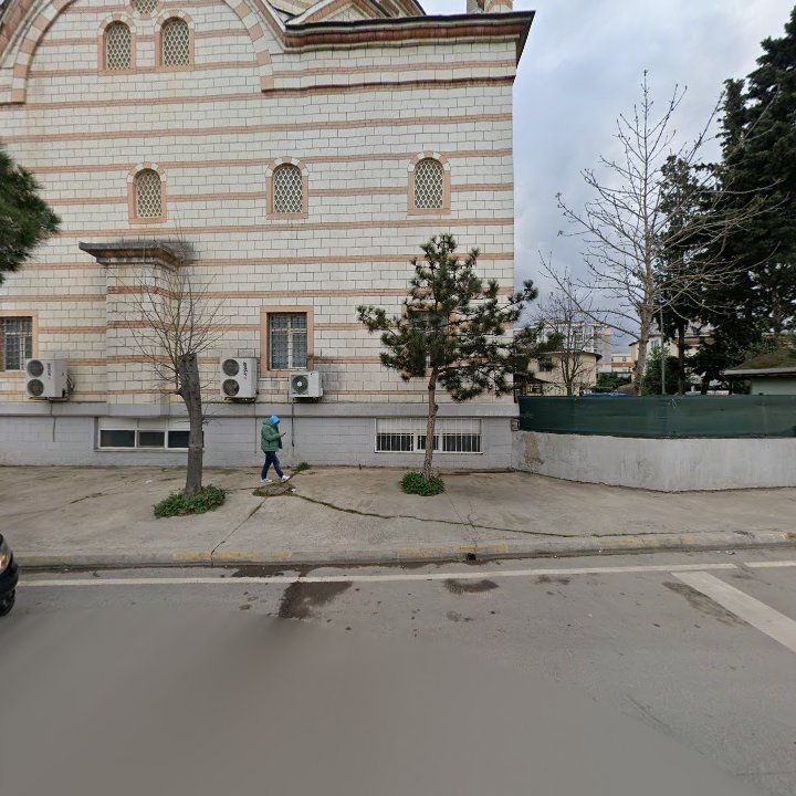 Fotoğraf 8