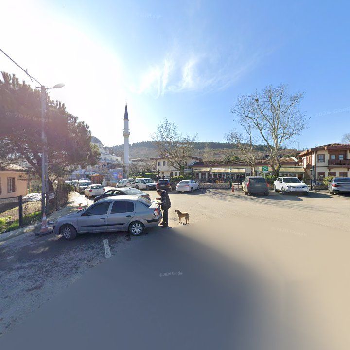 Fotoğraf 8