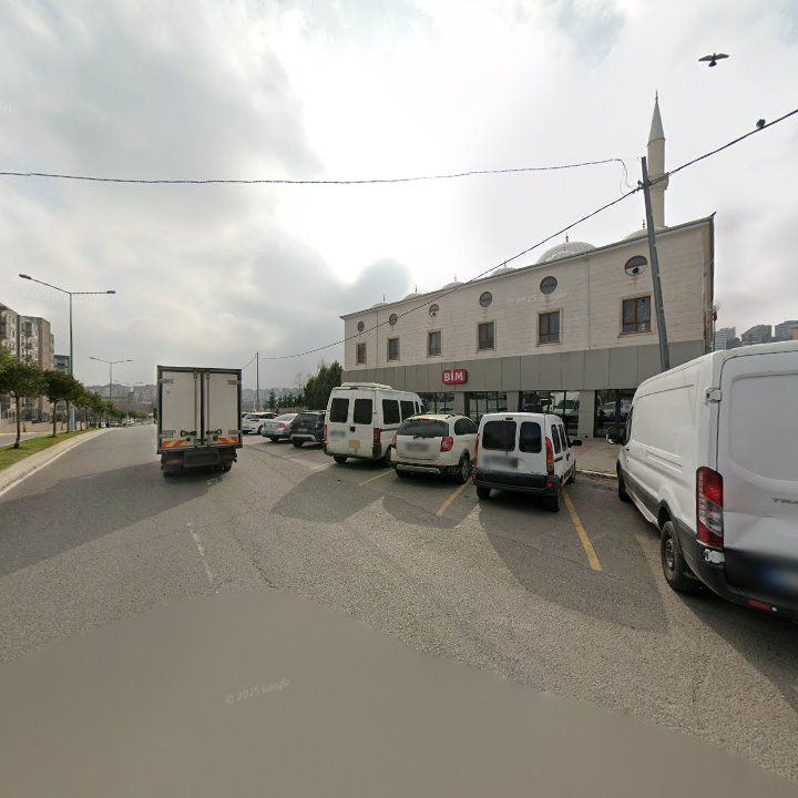 Fotoğraf 10