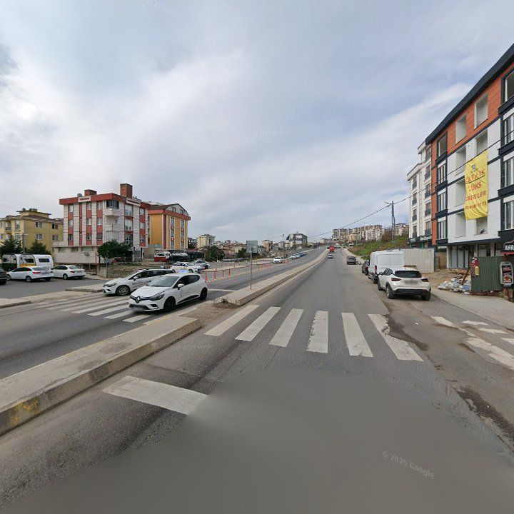 Fotoğraf 10