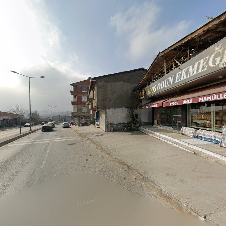 Fotoğraf 8