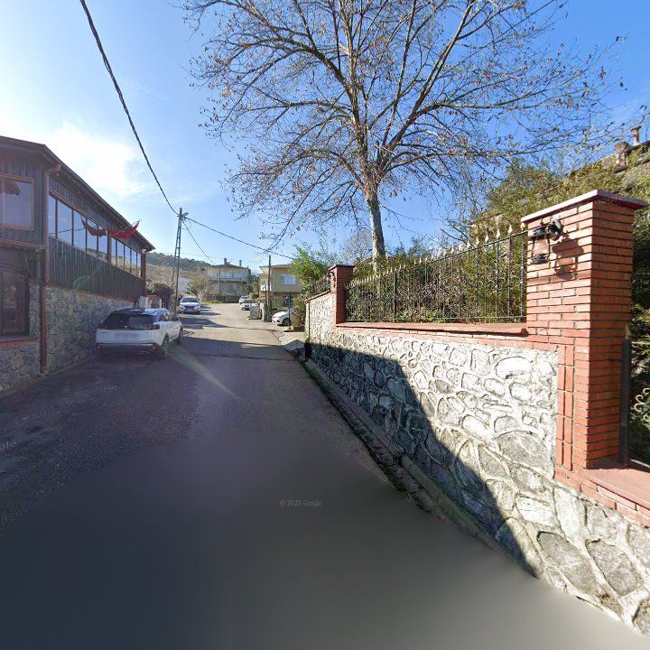 Fotoğraf 12