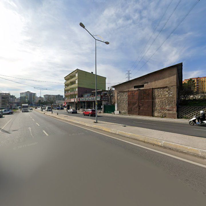 Fotoğraf 10