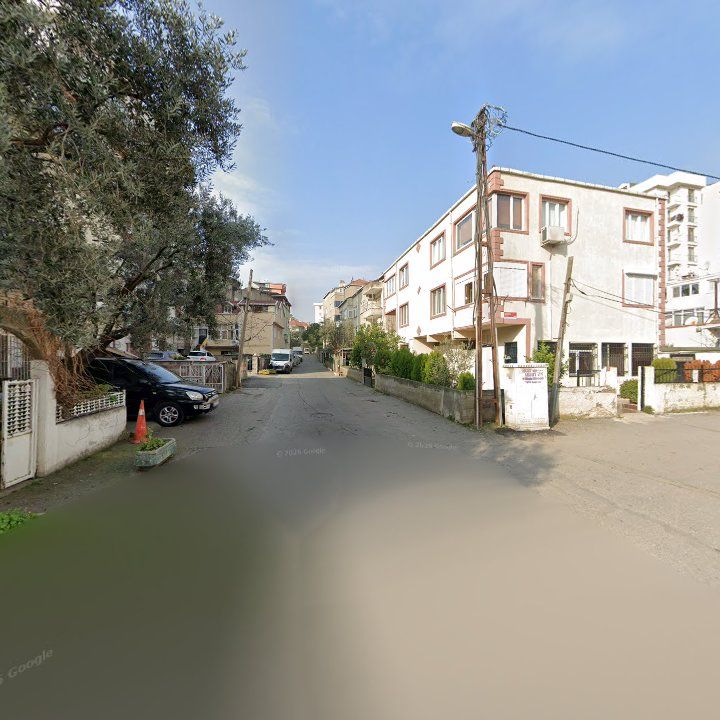 Fotoğraf 9