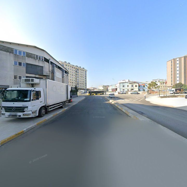 Fotoğraf 12