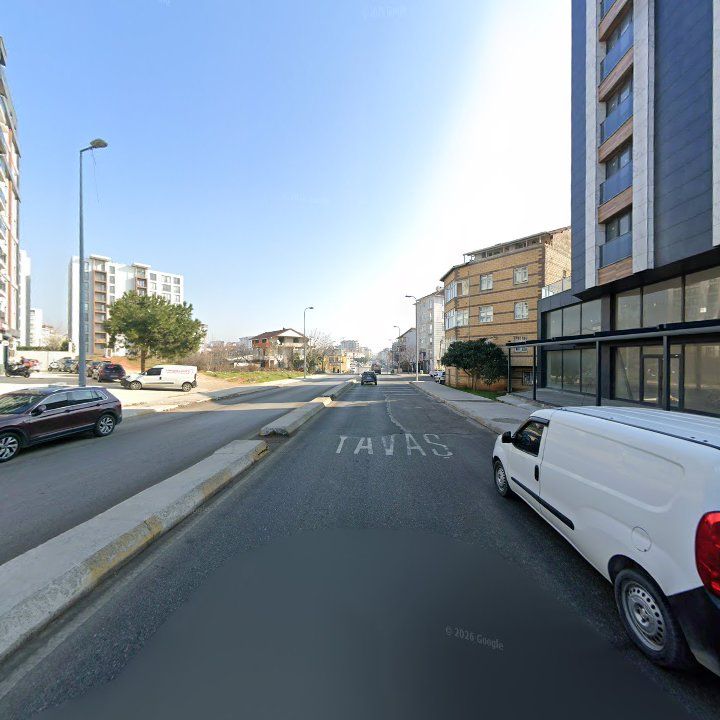 Fotoğraf 10
