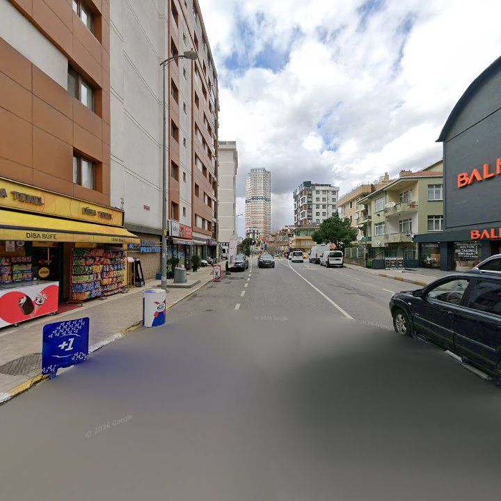 Fotoğraf 13