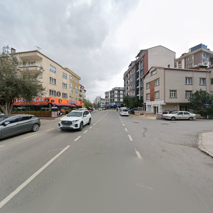 Fotoğraf 11