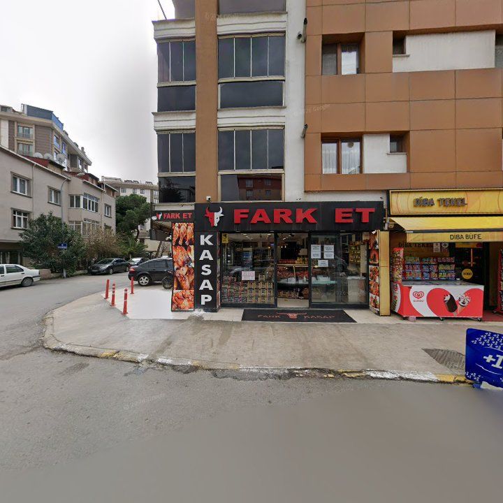 Fotoğraf 12