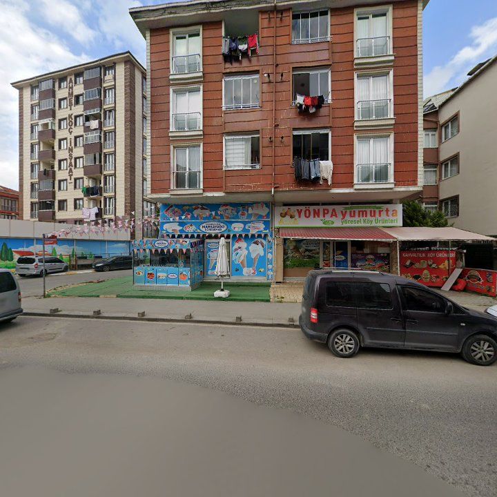 Fotoğraf 3