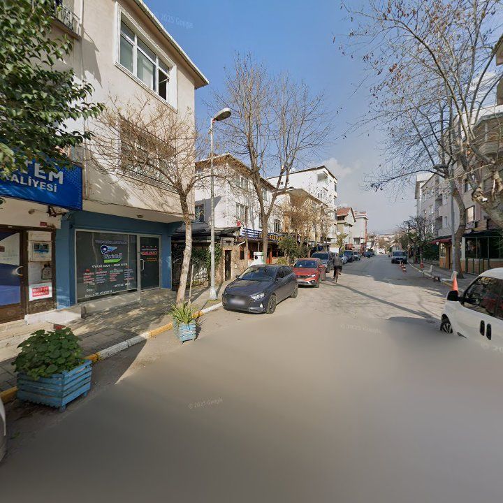 Fotoğraf 16