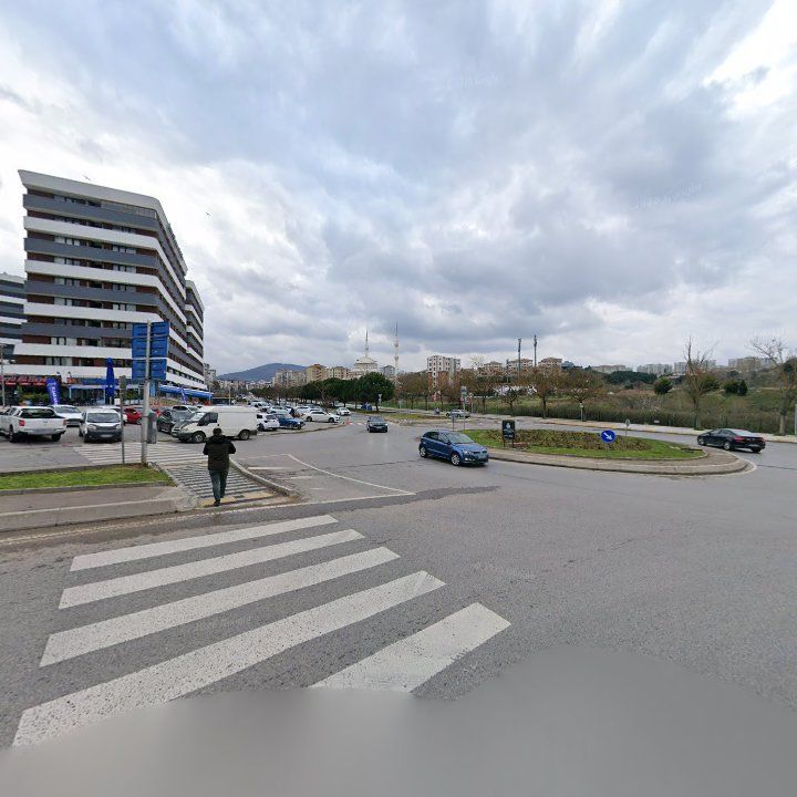 Fotoğraf 8