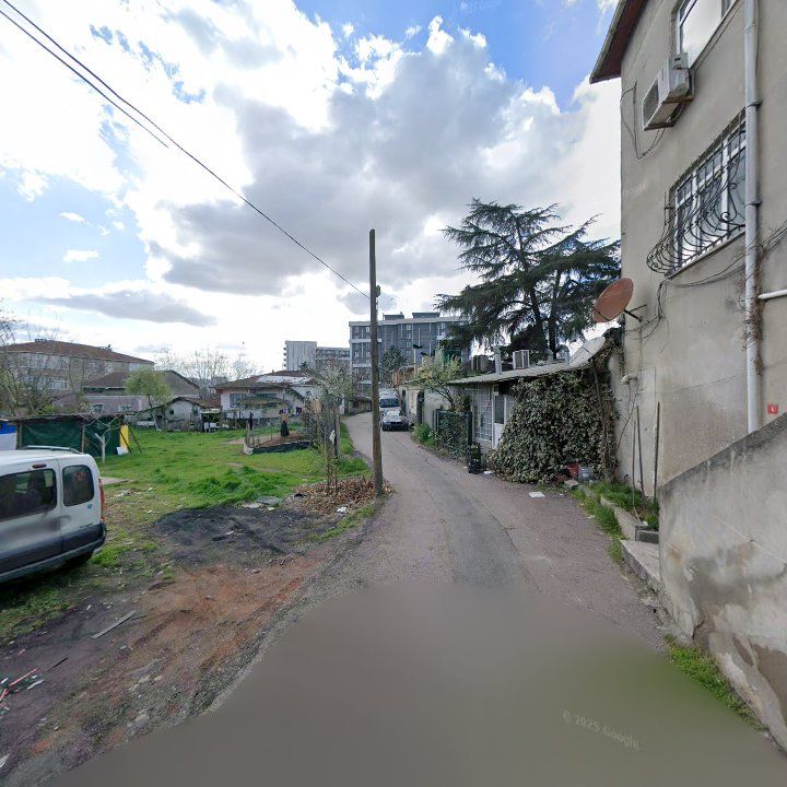 Fotoğraf 7