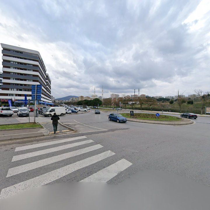 Fotoğraf 11