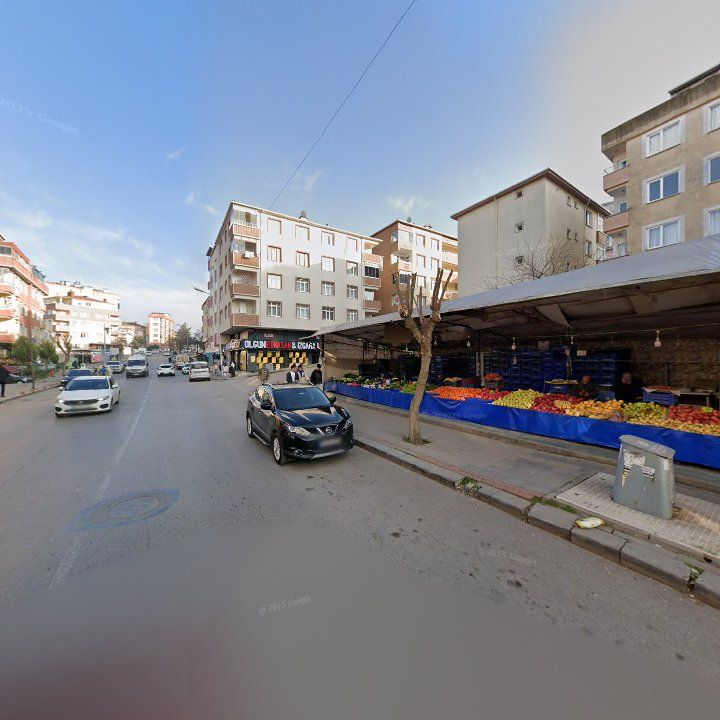 Fotoğraf 8