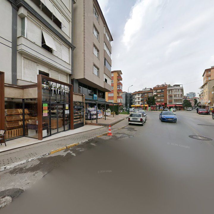 Fotoğraf 9