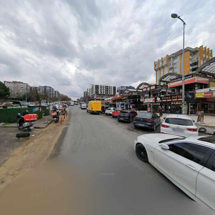 Fotoğraf 7