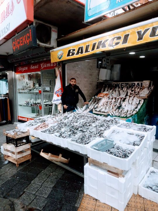 Merkez Balık Yunus
