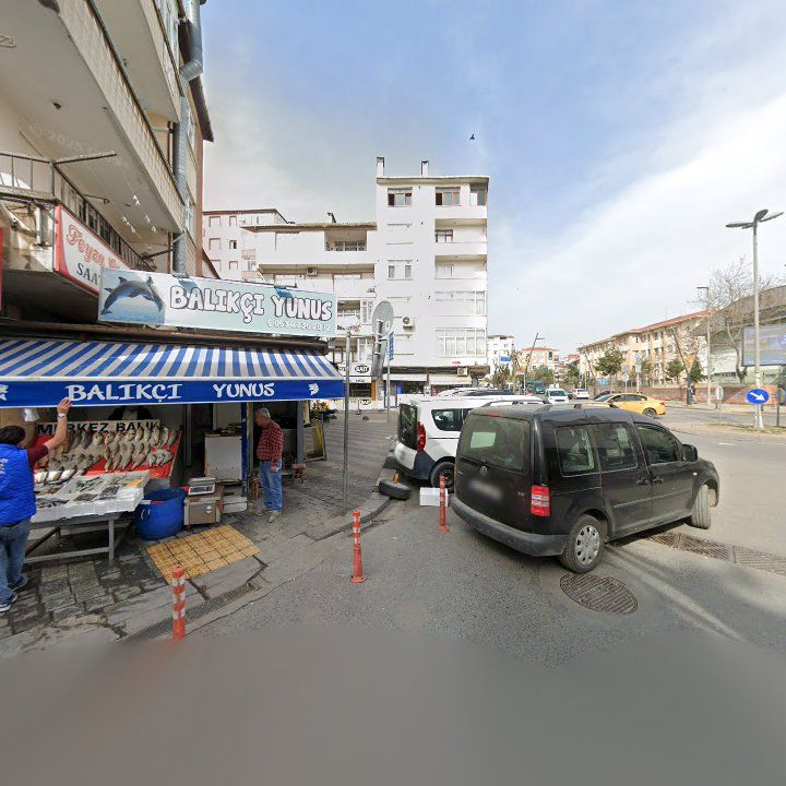 Fotoğraf 7