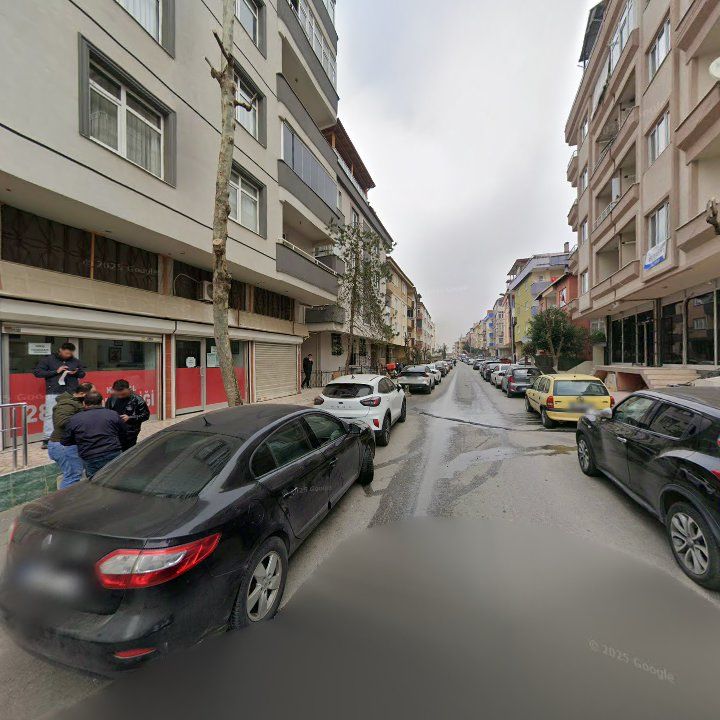 Fotoğraf 10