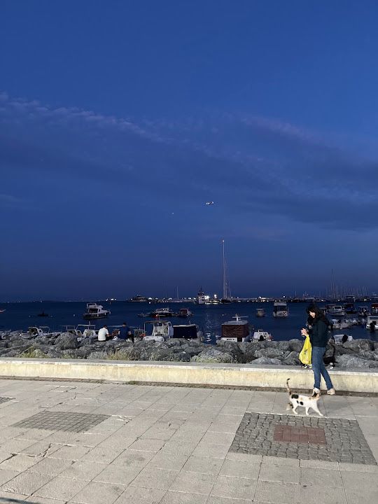Fotoğraf 17