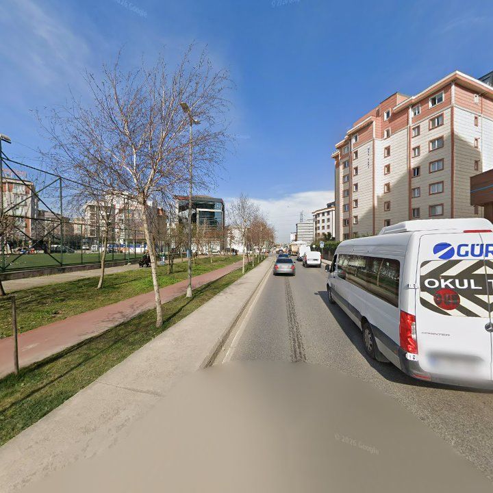 Fotoğraf 12