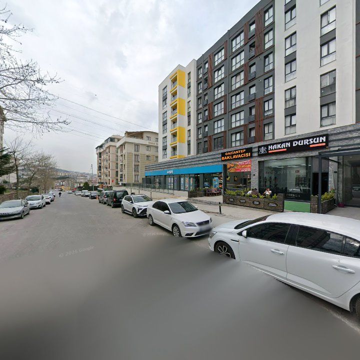 Fotoğraf 11
