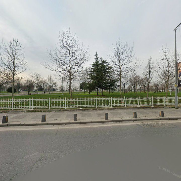Fotoğraf 9