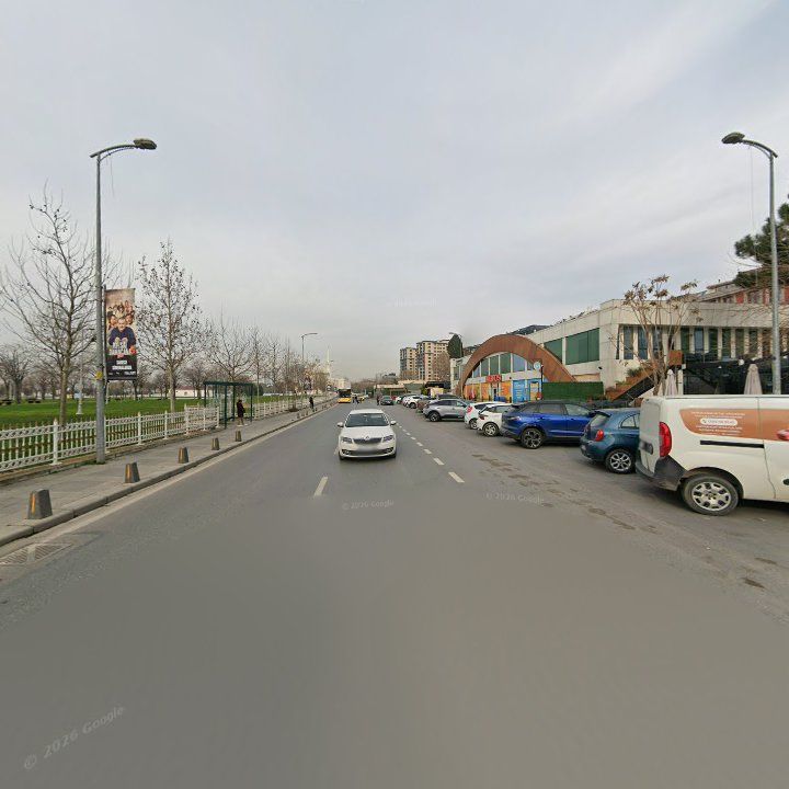 Fotoğraf 10