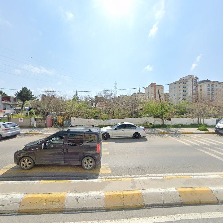 Fotoğraf 11