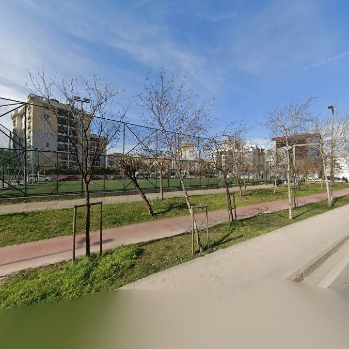 Fotoğraf 11