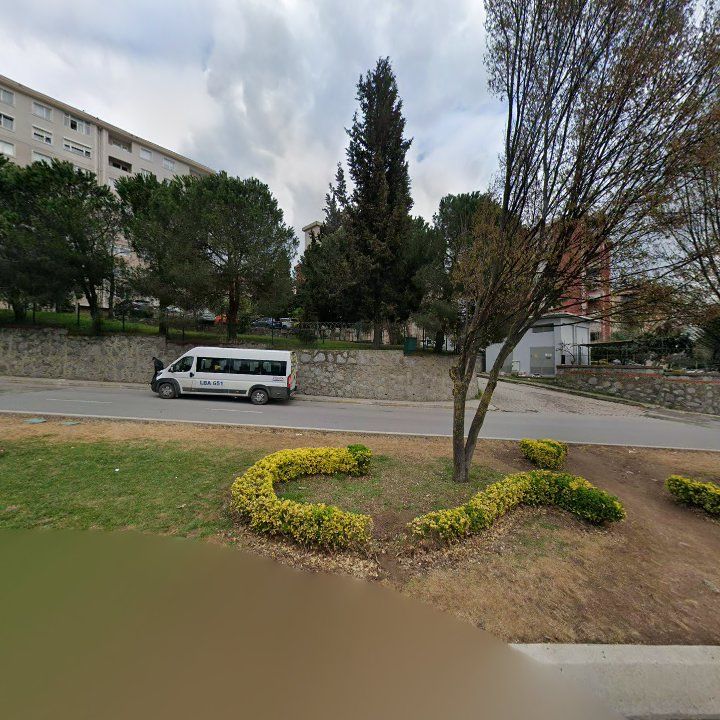 Fotoğraf 8