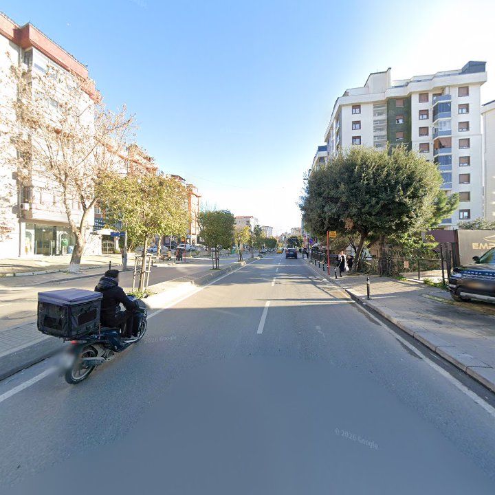 Fotoğraf 11