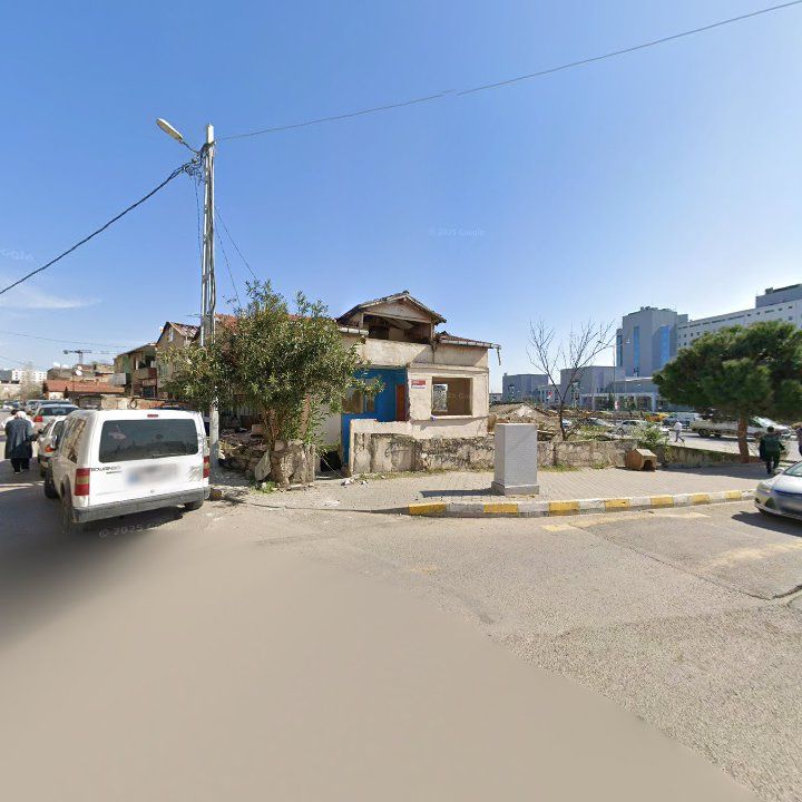 Fotoğraf 7