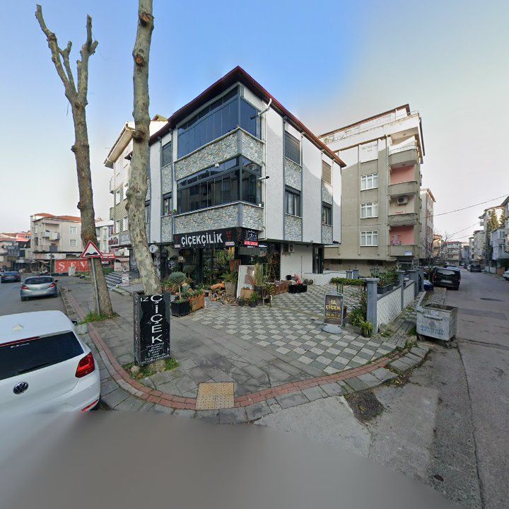 Fotoğraf 12