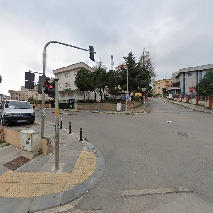 Fotoğraf 10
