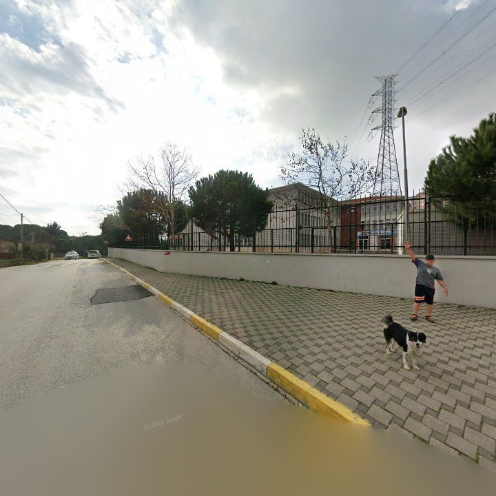 Fotoğraf 6