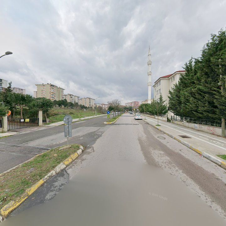 Fotoğraf 10