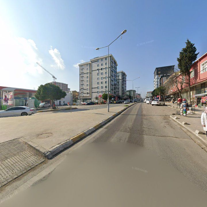 Fotoğraf 6