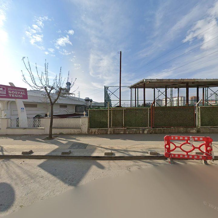 Fotoğraf 6