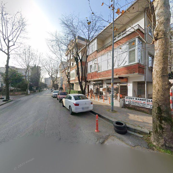 Fotoğraf 11