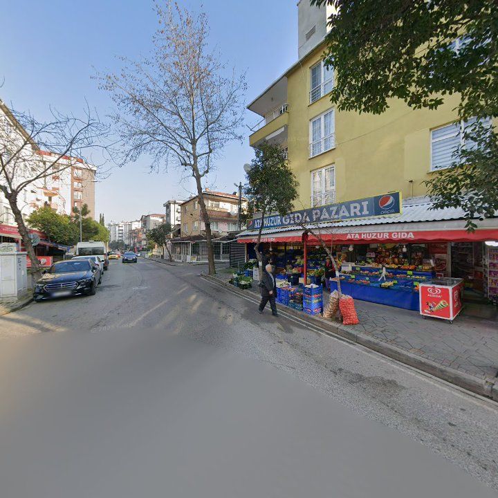 Fotoğraf 13